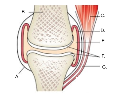 <p>what is C? </p>