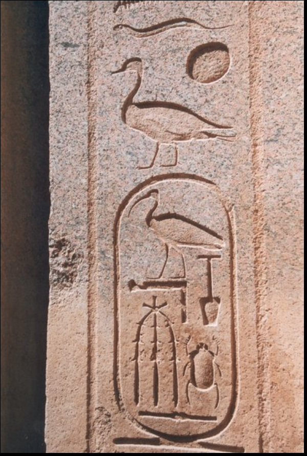 term image