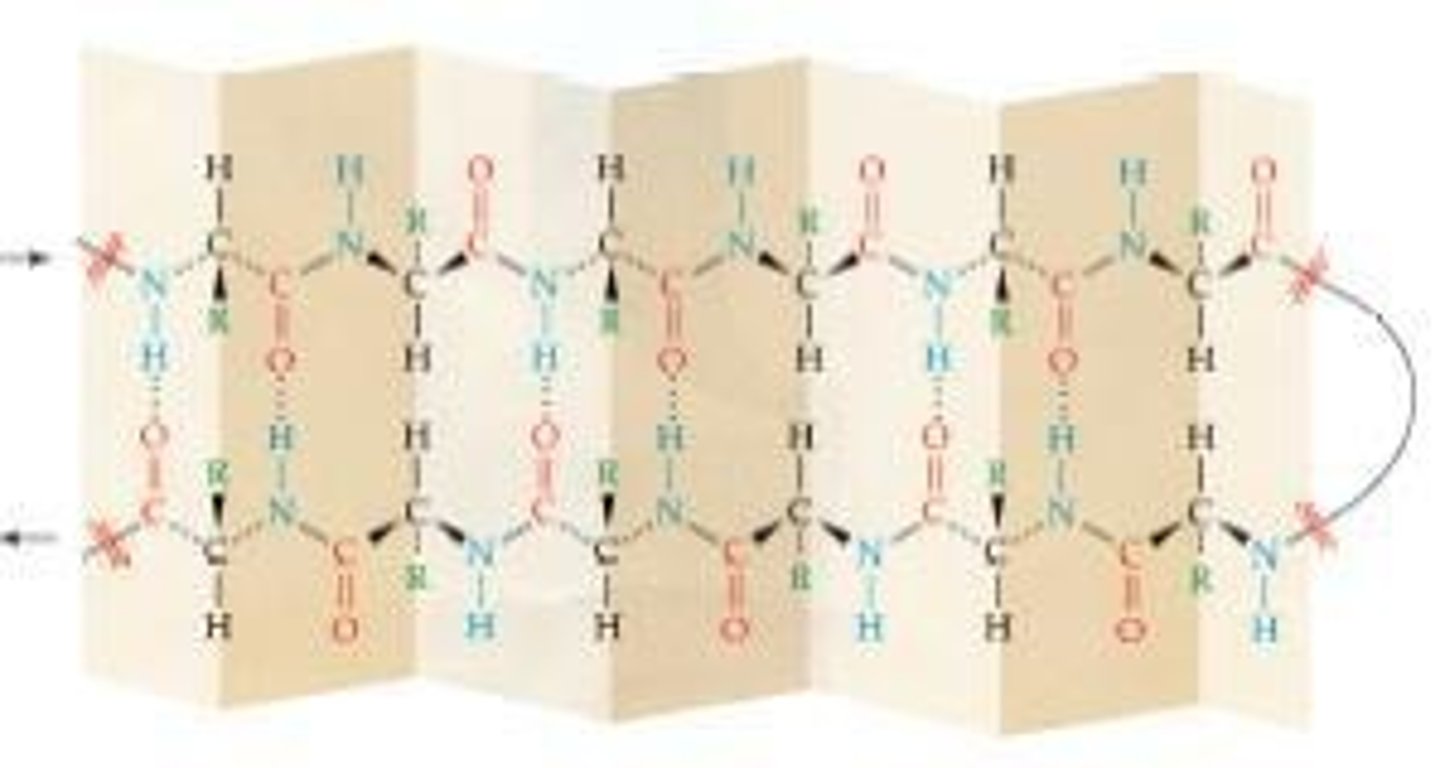 <p>A moderate-to-strong interaction where the oxygen atom has a partial negative charge and hydrogen atoms have partial positive charges, allowing for attraction between water molecules.</p>