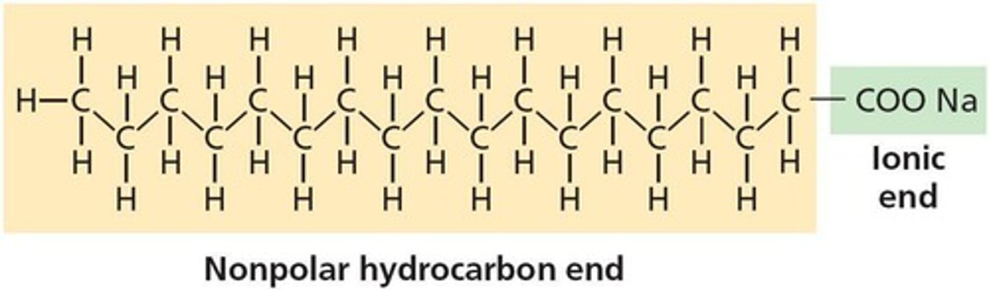 <p>fatty acid salt forming a colloid</p>