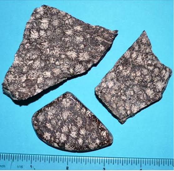 <p>Identify the igneous rock, its texture, and composition</p>
