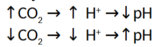 <ul><li><p>First reaction is very slow in plasm but rapid when catalysed by carbonic anhydrase (CA) in RBC</p></li><li><p>Endothelium of pulmonary circulation has CA</p></li><li><p>Dissociation of H2CO3 is rapid in the absence of enzyme</p></li><li><p>60% of CO2 excreted in the lung carried in mixed venous blood as HCO3</p></li></ul><p></p>