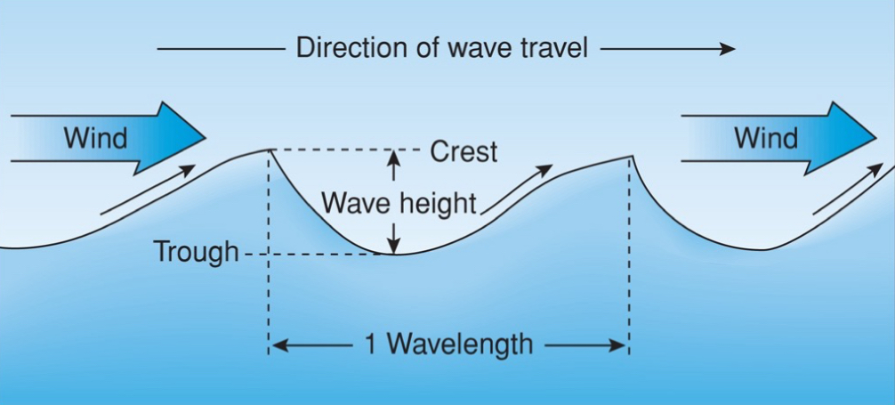 <p>waves are the result of a generating force and higher wind speeds create larger, more frequent, and more powerful waves</p>