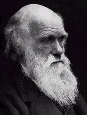 English natural scientist who formulated a theory of evolution by natural selection
