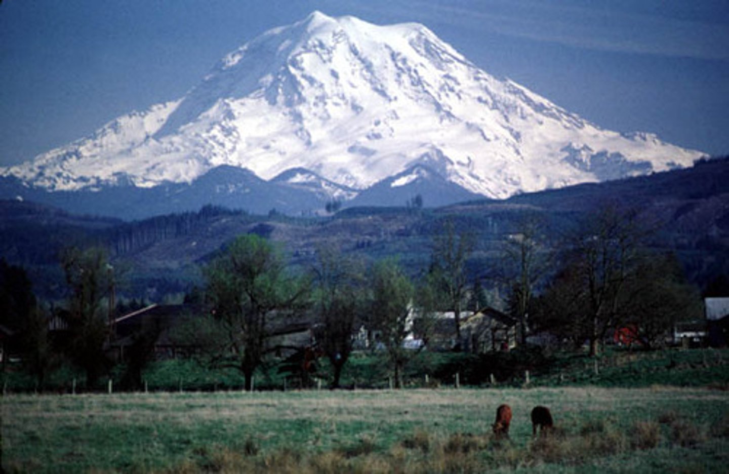 <p>Found on destructive plate margins and has a distinct conical shape. It has viscous, acidic lava, violent eruptions, and steep sides.</p>