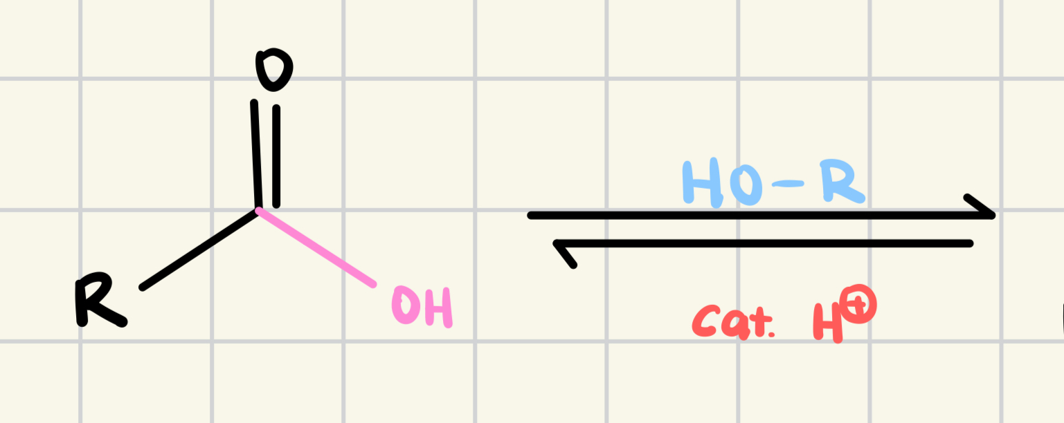 <p>Predict the product</p>