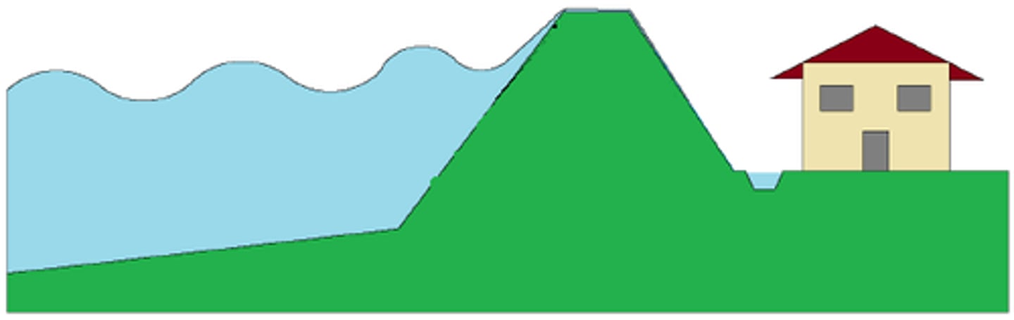 <p>AN embankment built along a coastline to control the flow of water.</p>
