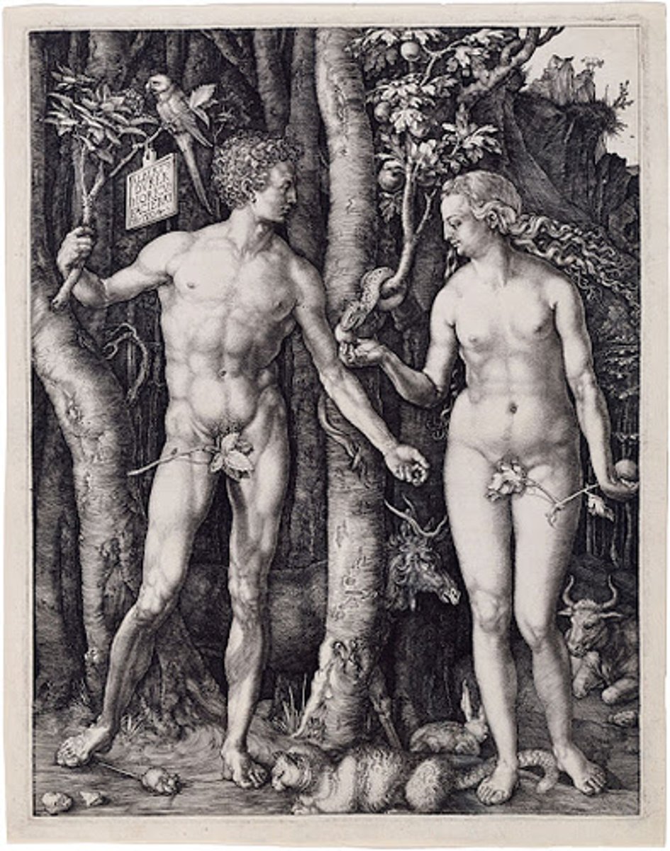 <p>the body structures (ovaries, testes, and external genitalia) that make sexual reproduction possible</p>