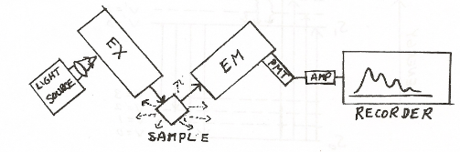 <p>2 monochromators; adjust both the wavelength of excitation and wavelength of emission</p><p>To measure a fluorescence spectrum, we would set the excitation monochromator at some wavelength where the sample absorbs strongly, and then scan the fluorescence monochromator</p><p>vice versa for absorption spectra</p><p>(1) The “shape” of the fluorescence spectrum, i.e. relative numbers of fluorescence quanta at different wavelengths, should be independent of the excitation wavelength.</p><p>(2) The shape of the fluorescence spectrum should qualitatively resemble the shape of the absorption spectrum (remember: fluorescence intensity will be proportional to the amount of absorbed light).</p>