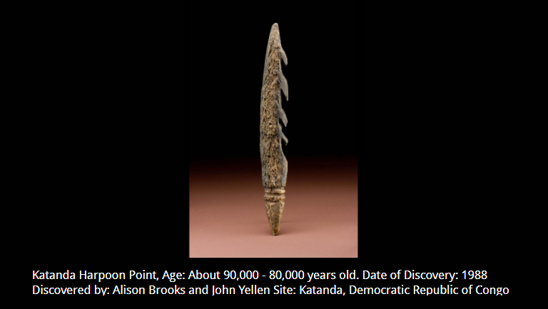 <p>What tool is this? How old? Used for/by who? What did this prove about early Hominids?</p>