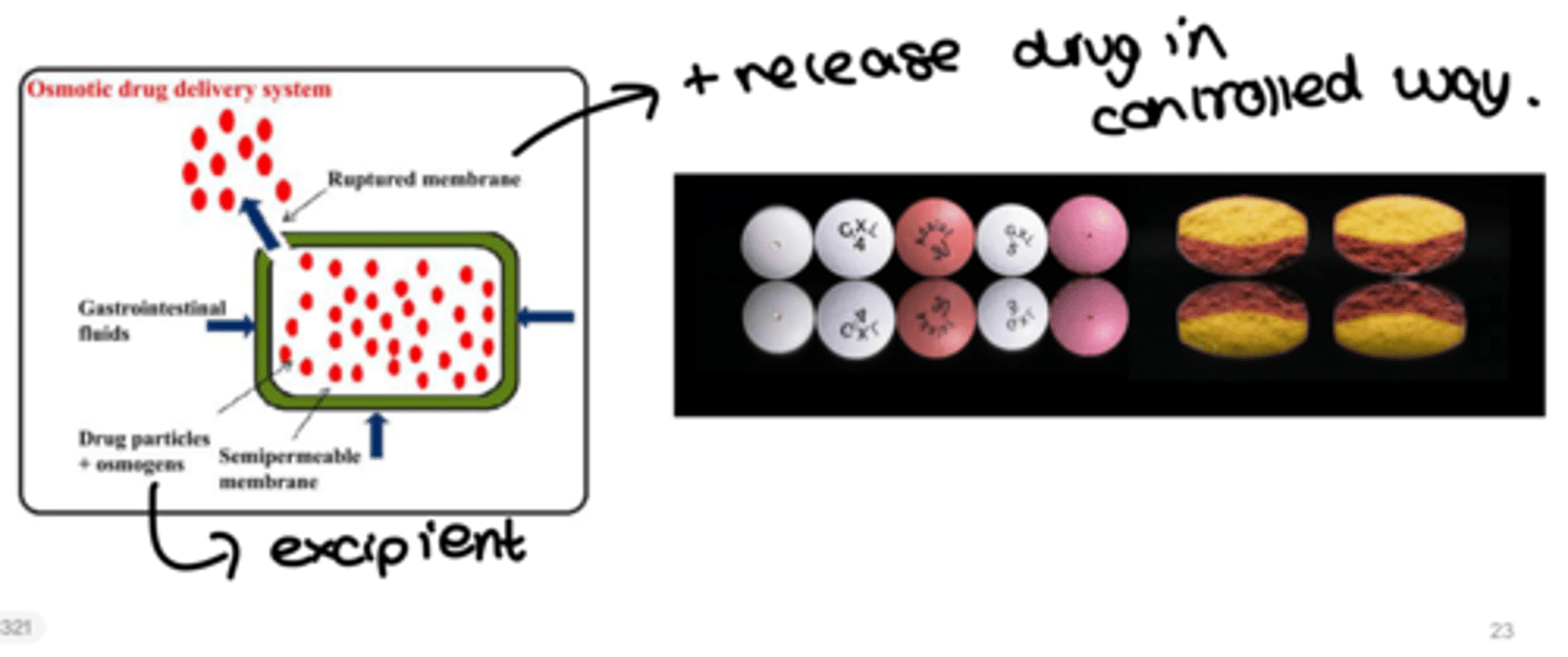 <p>a compressed tablet core coated with a semi-permeable membrane through which delivery orifices are created using a laser beam or mechanical drill</p><p>they release the drug in a controlled way</p>