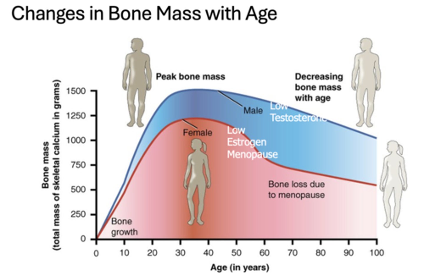 <p>Low testosterone</p>