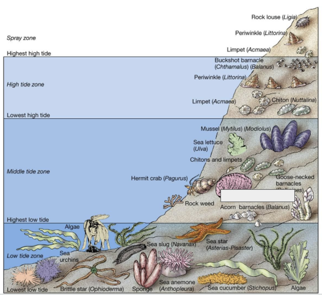 <p><strong>What organism? </strong></p>