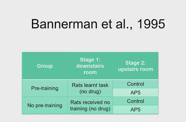 <p>AP5 and spatial leanring, follow on from morris 1989 - is there a way of dissociating a performance deficit from a learning deficit? - <strong>Bannerman et al., (1995) - Maze task </strong></p>