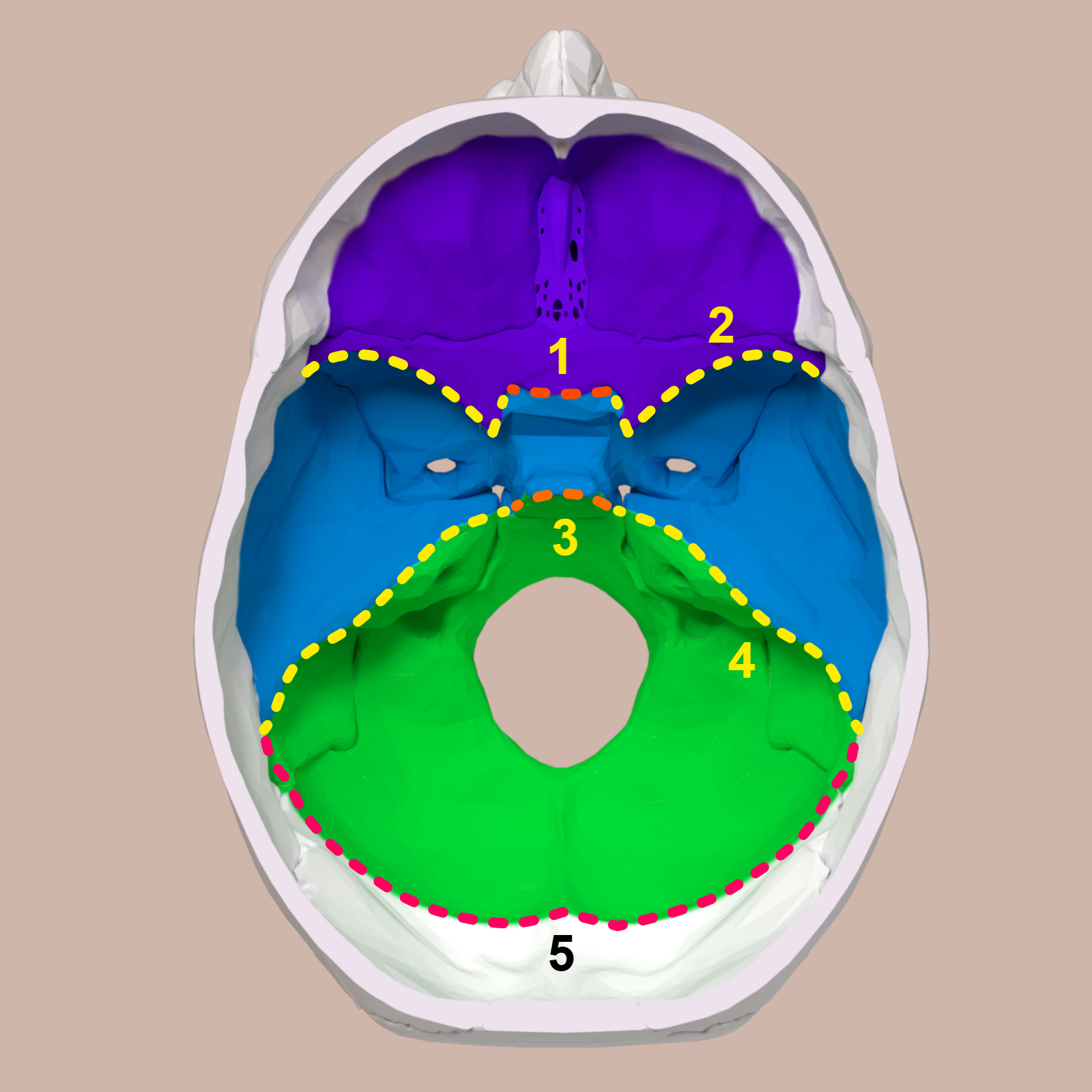 <p>Name the structure</p>