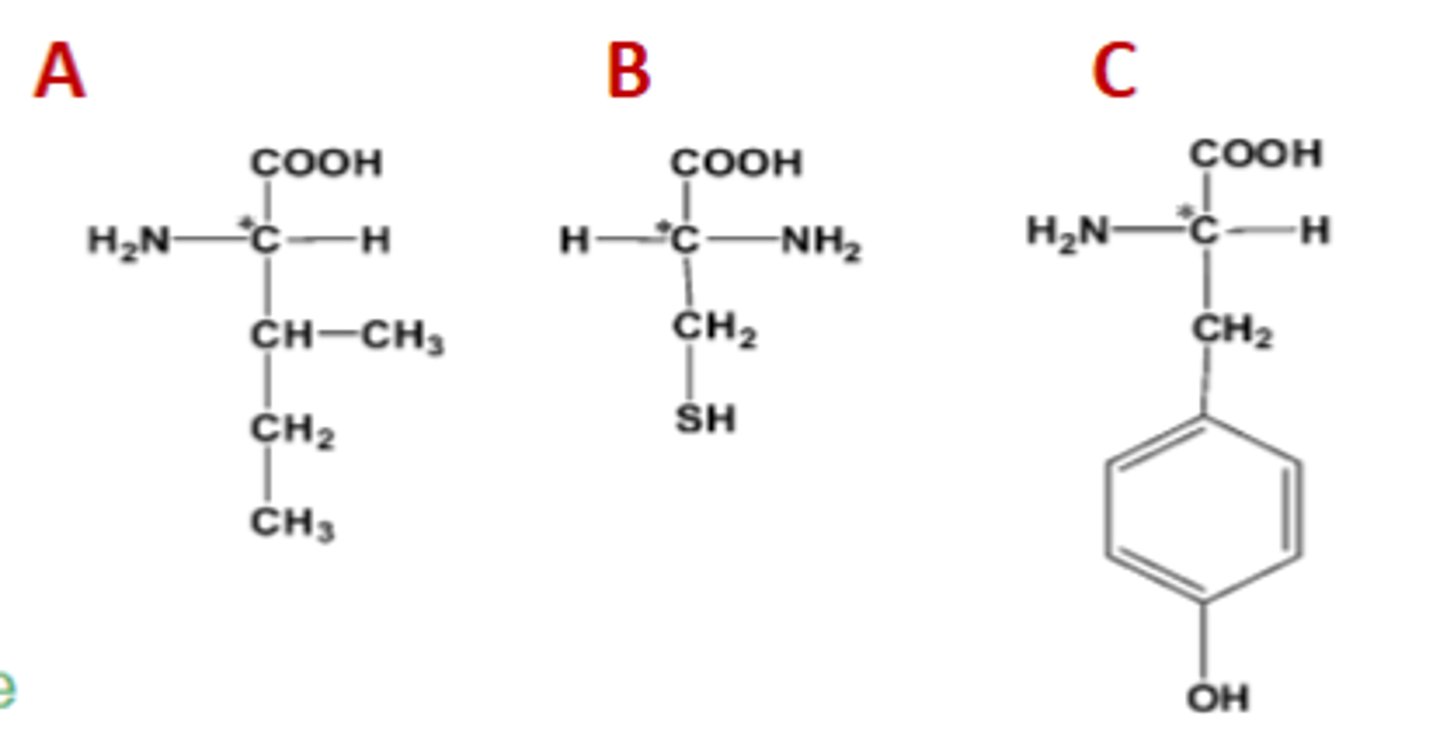 <p>A: L-isoleucine; B: D-cysteine; C: L-tyrosine</p>