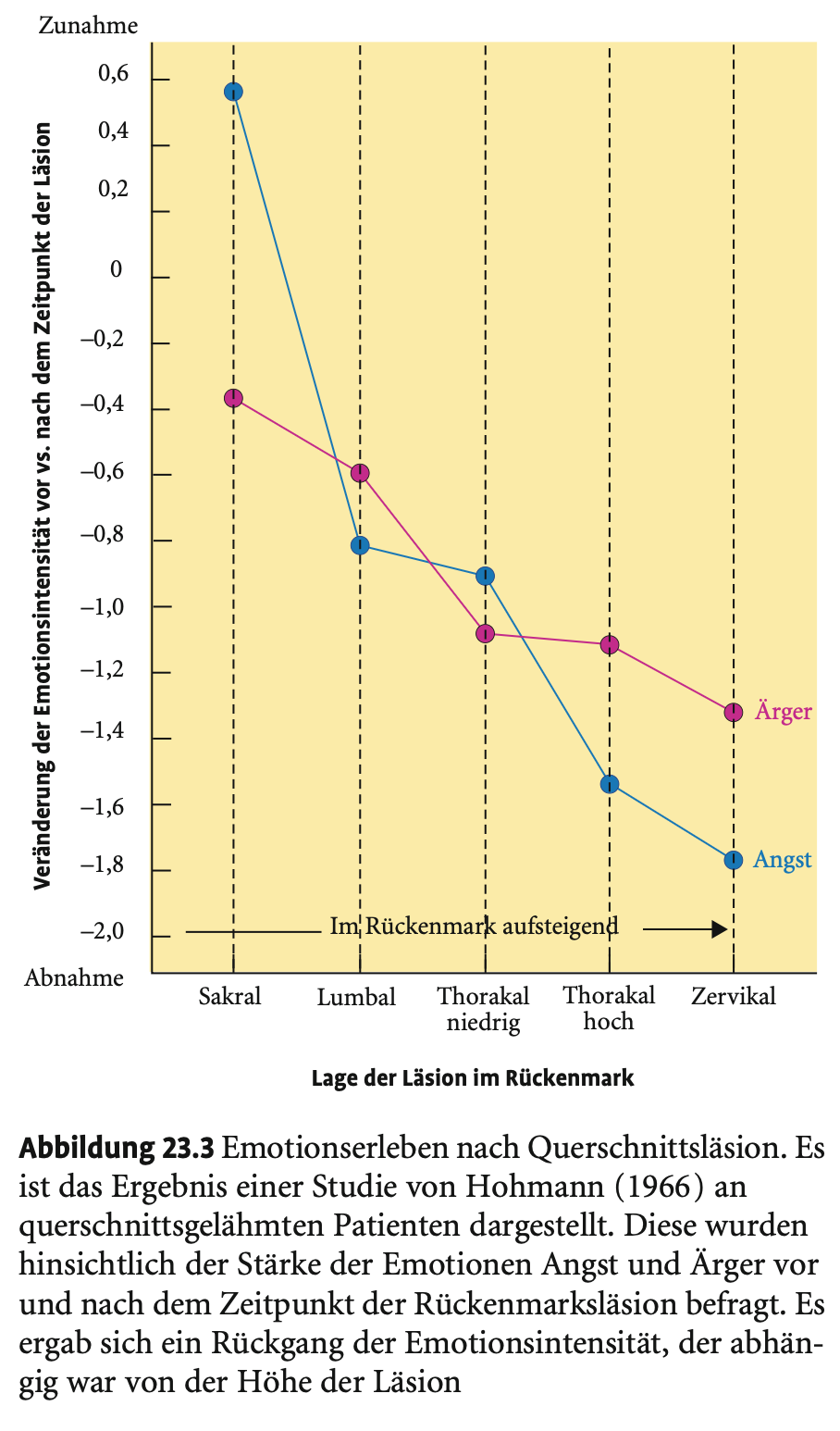 <p>Je höher die <strong>Rückenmarksläsion</strong>, desto stärker der Rückgang emotionalen Erlebens → <strong>unterstützt James’ Theorie</strong>: Körperfeedback beeinflusst Emotion.</p>