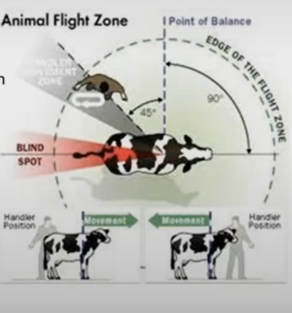 <p>Enter the flight zone at the front of the point of balance</p>