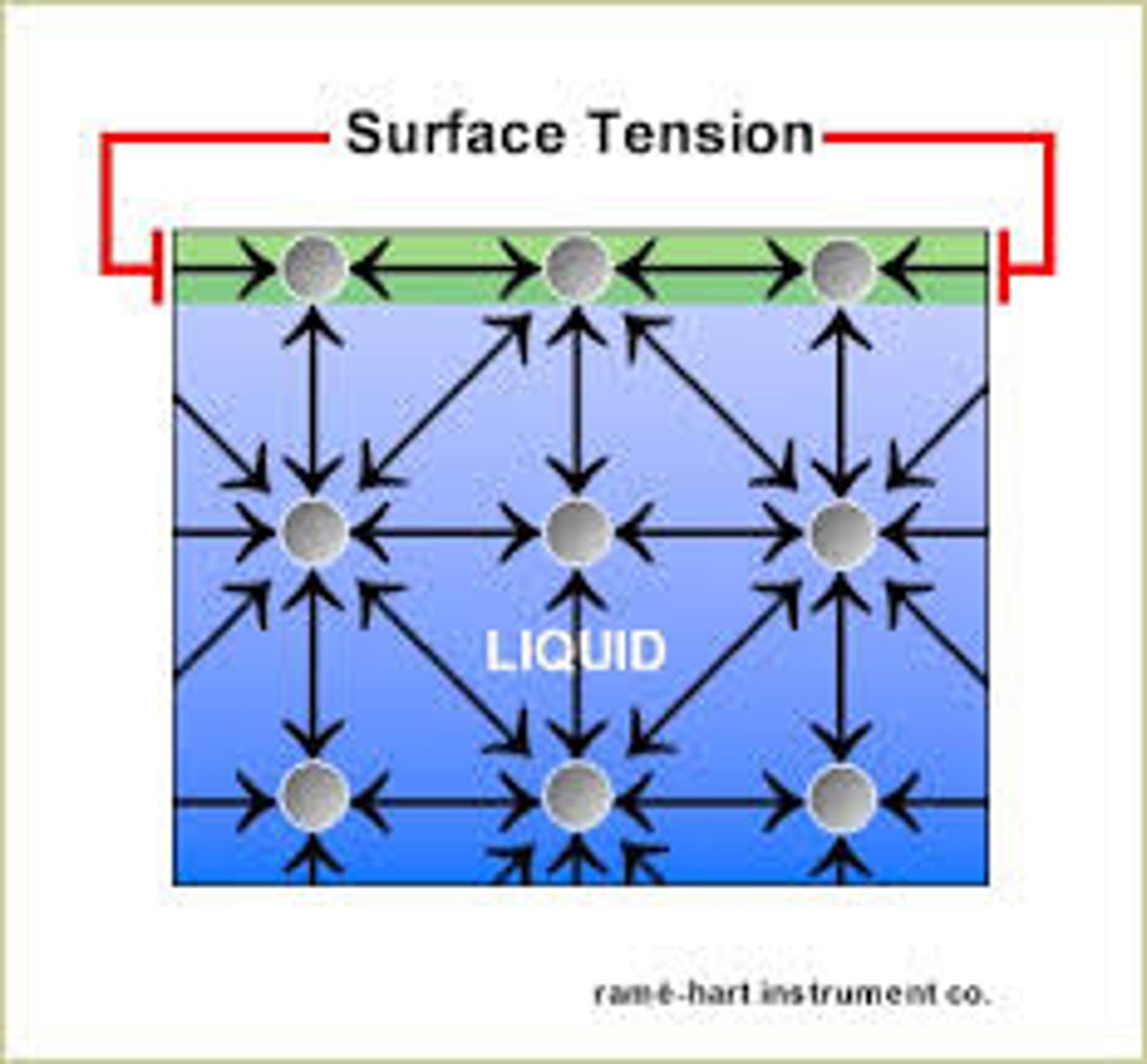 <p>A measure of how difficult it is to stretch or break the surface of a liquid</p>