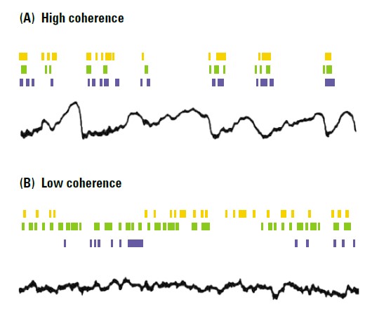 * when EEG displays low-voltage, high frequency beta pattern and single-cell activity is poorly correlated, with every neuron firing at diff times
  * here brain is actively processing info
