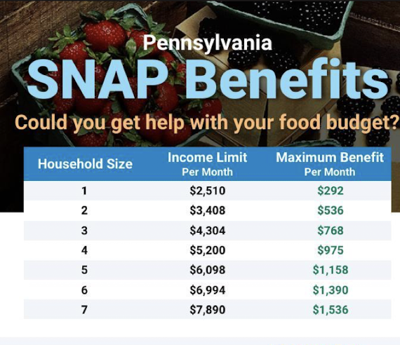 <ul><li><p>Provides food benefits to low-income families</p><ul><li><p>Eligibility varies per state</p></li></ul></li></ul><p></p>