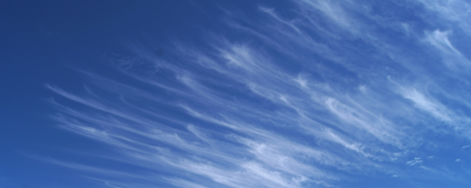 <p>it’s feathery </p>