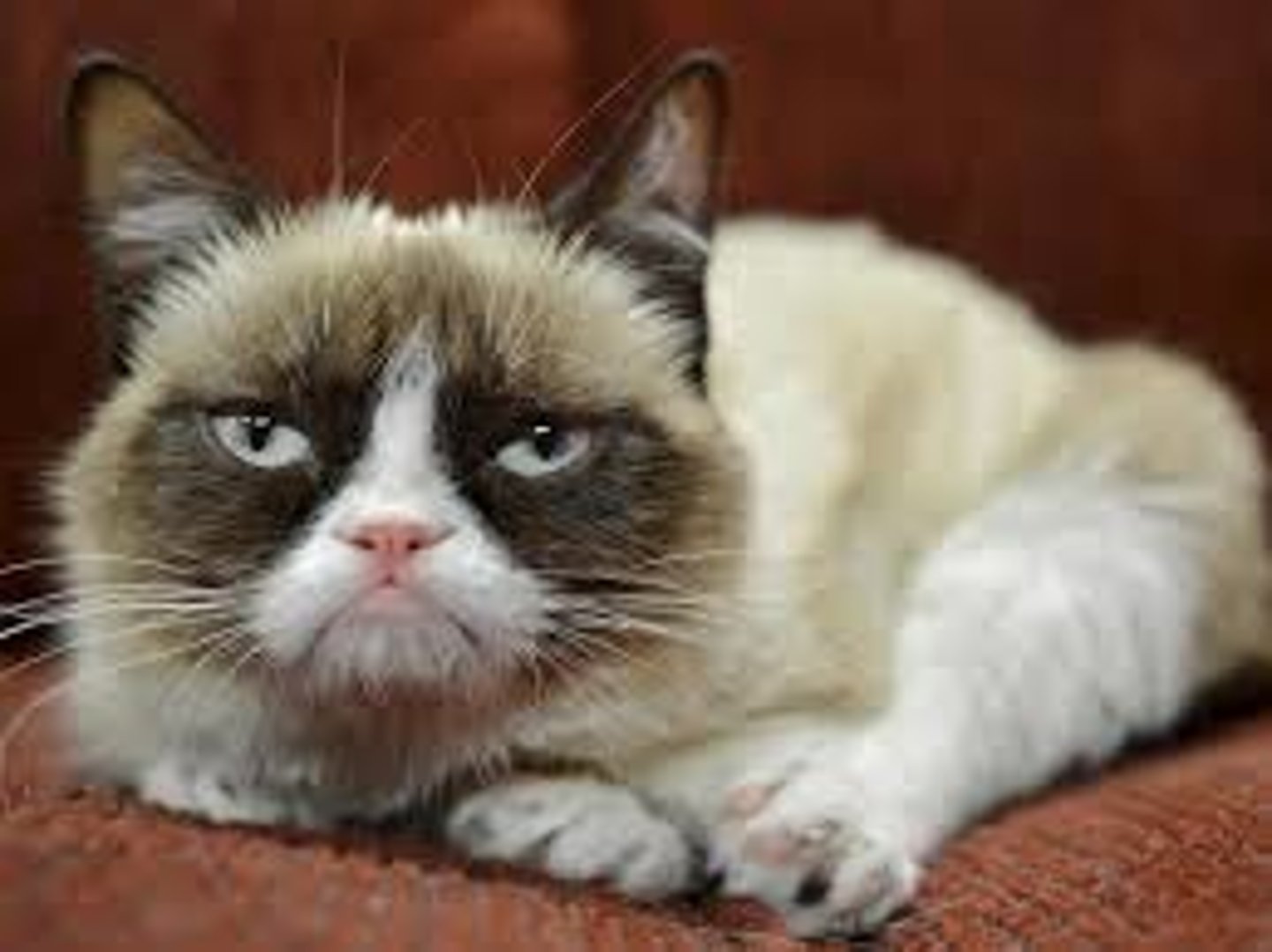 <p>in a bad mood</p>