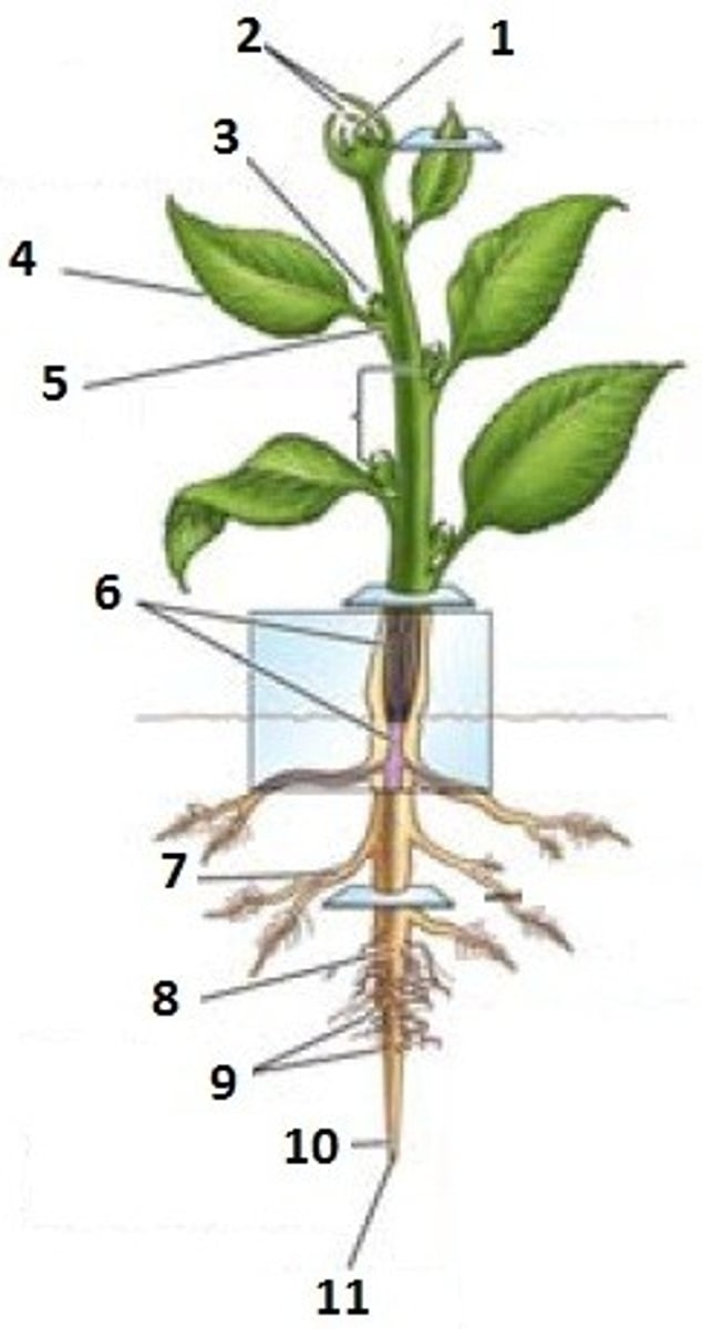 <p>1?</p>