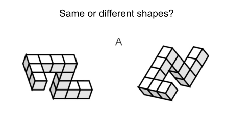 <p>showed 2 images and asked if they are the same or different shapes</p><ul><li><p>easier when the angle between the two shapes is smaller</p></li></ul>
