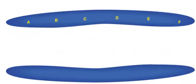<p>Show how and where a saccharide binds to this lysozyme. Where is the site of cleavage?</p>