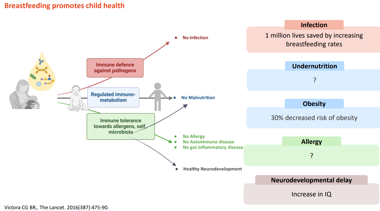 <p>DIAGRAM ON SLIDE 4</p>