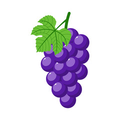 <p>Grapes</p>