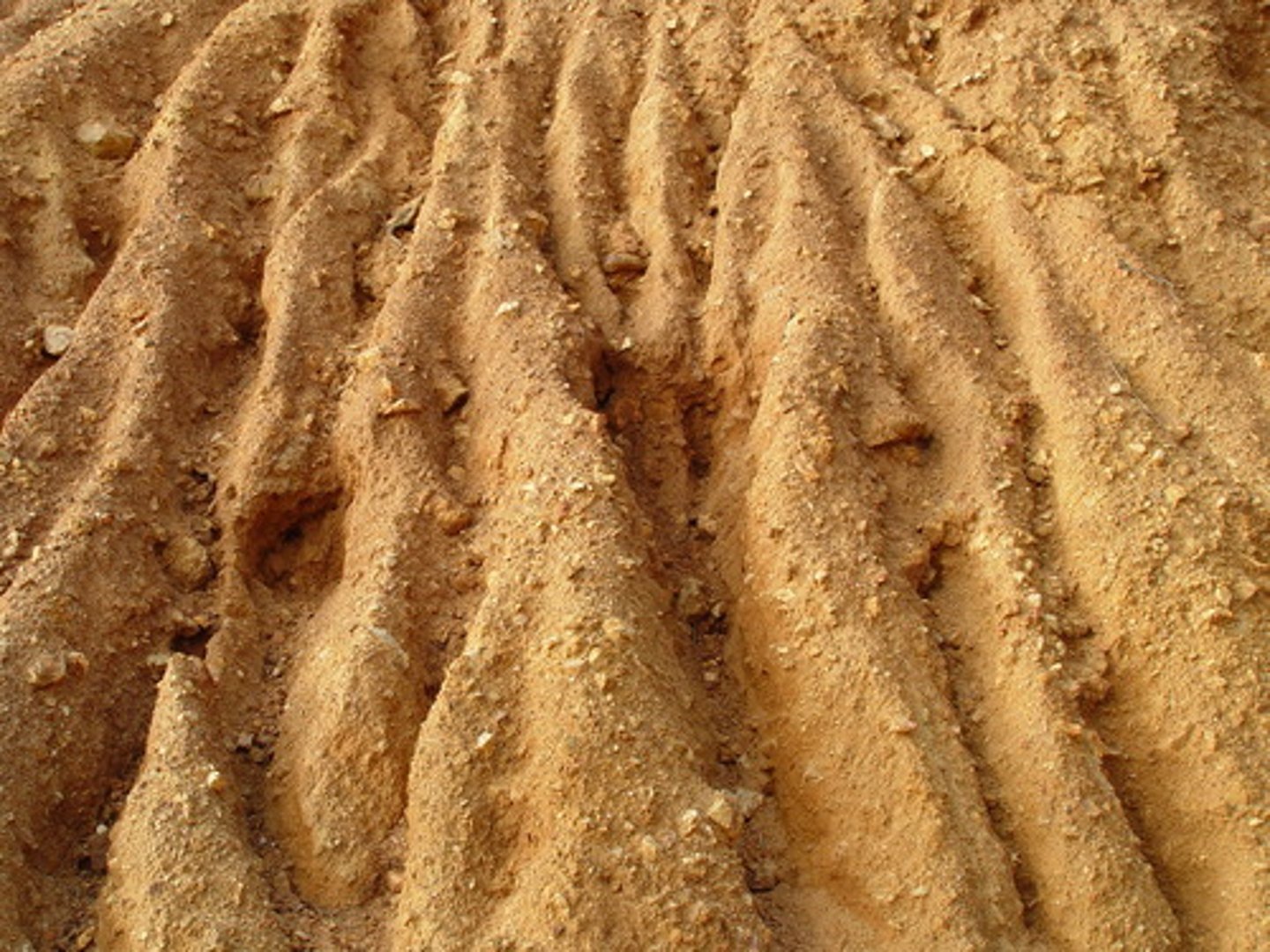 <p>the wearing away of a fields topsoil by water or the environment</p>
