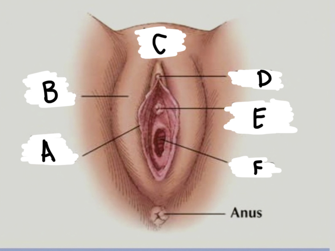 What is C? 