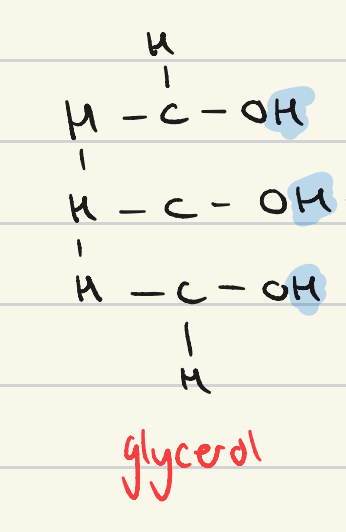<ul><li><p>propanol, but with 3 OH groups</p></li><li><p>CH2OHCHOHCH2OH</p></li></ul><p></p>