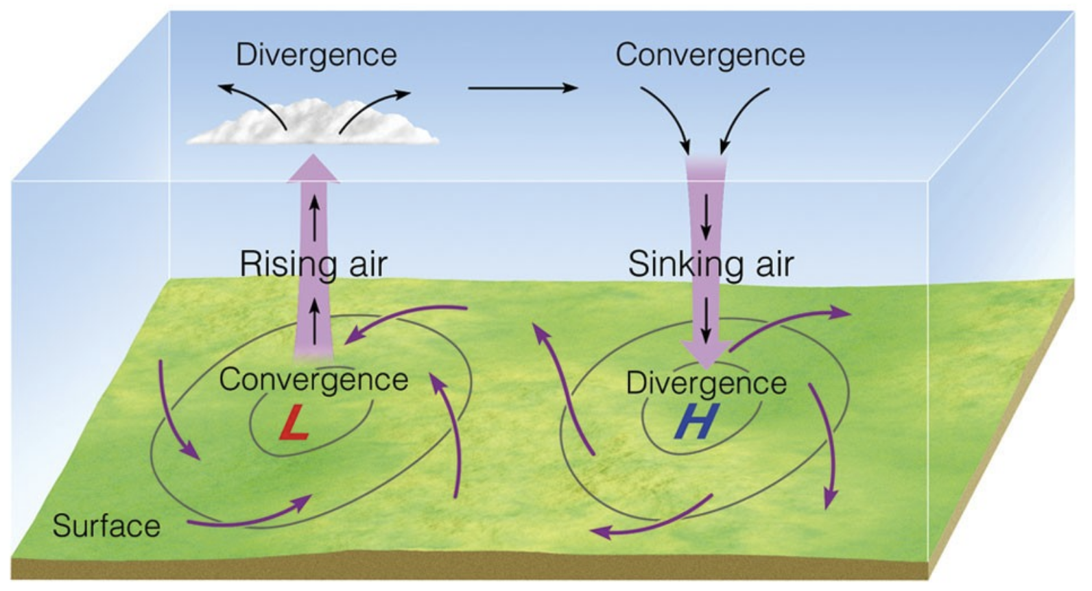 <p>convergence → sinking air → divergence with clockwise rotation</p>