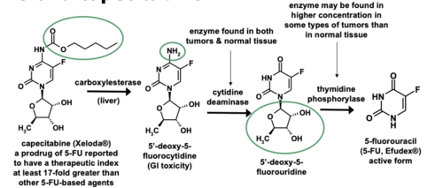 <p><strong>capecitabine prodrug</strong> has greater TI than 5-FU</p>
