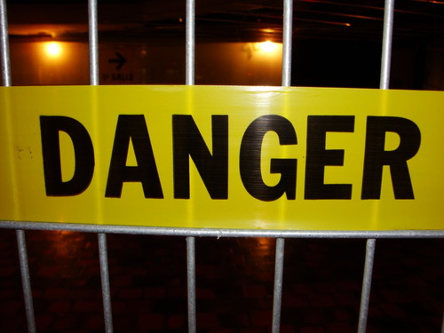 <p>What dangers can people face when they use the Internet?/ Can the Internet can be dangerous, and why?</p>