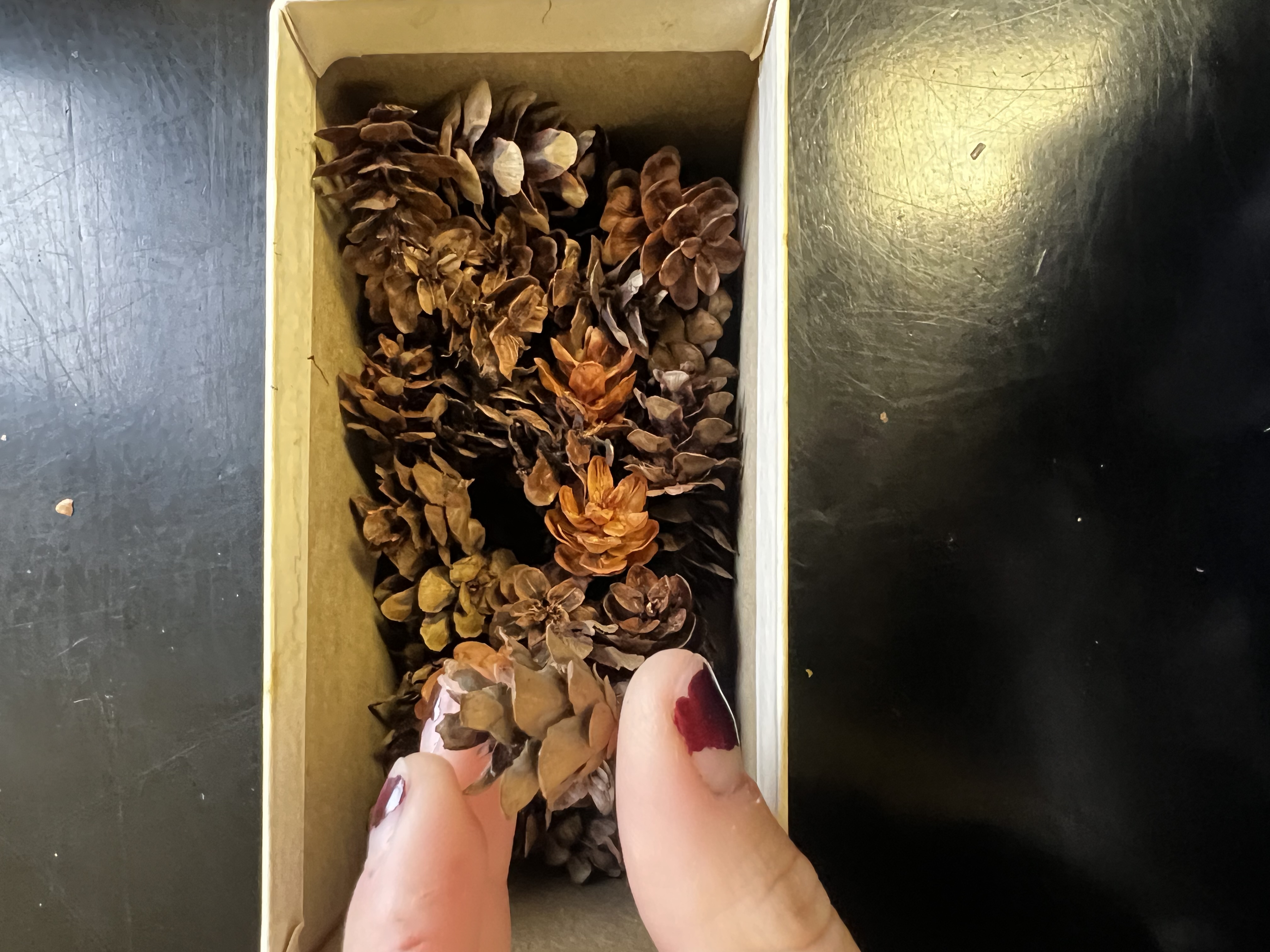 knowt flashcard image