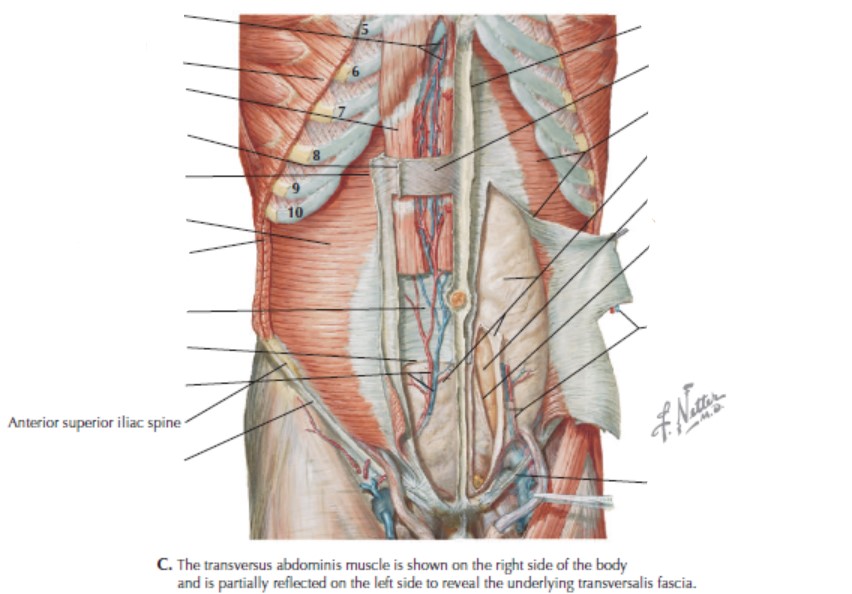 term image