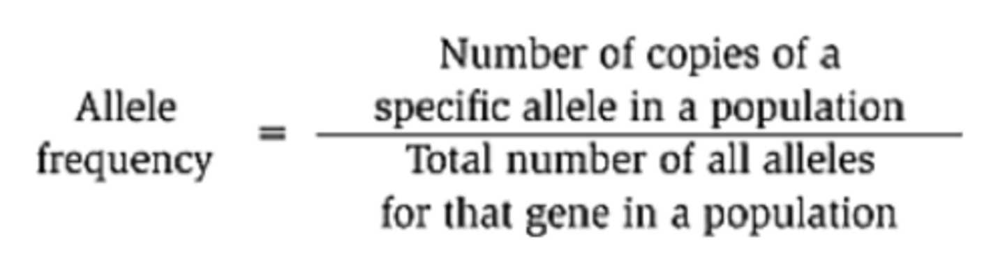 <p>The relative frequency of an allele in the gene pool of a population</p>