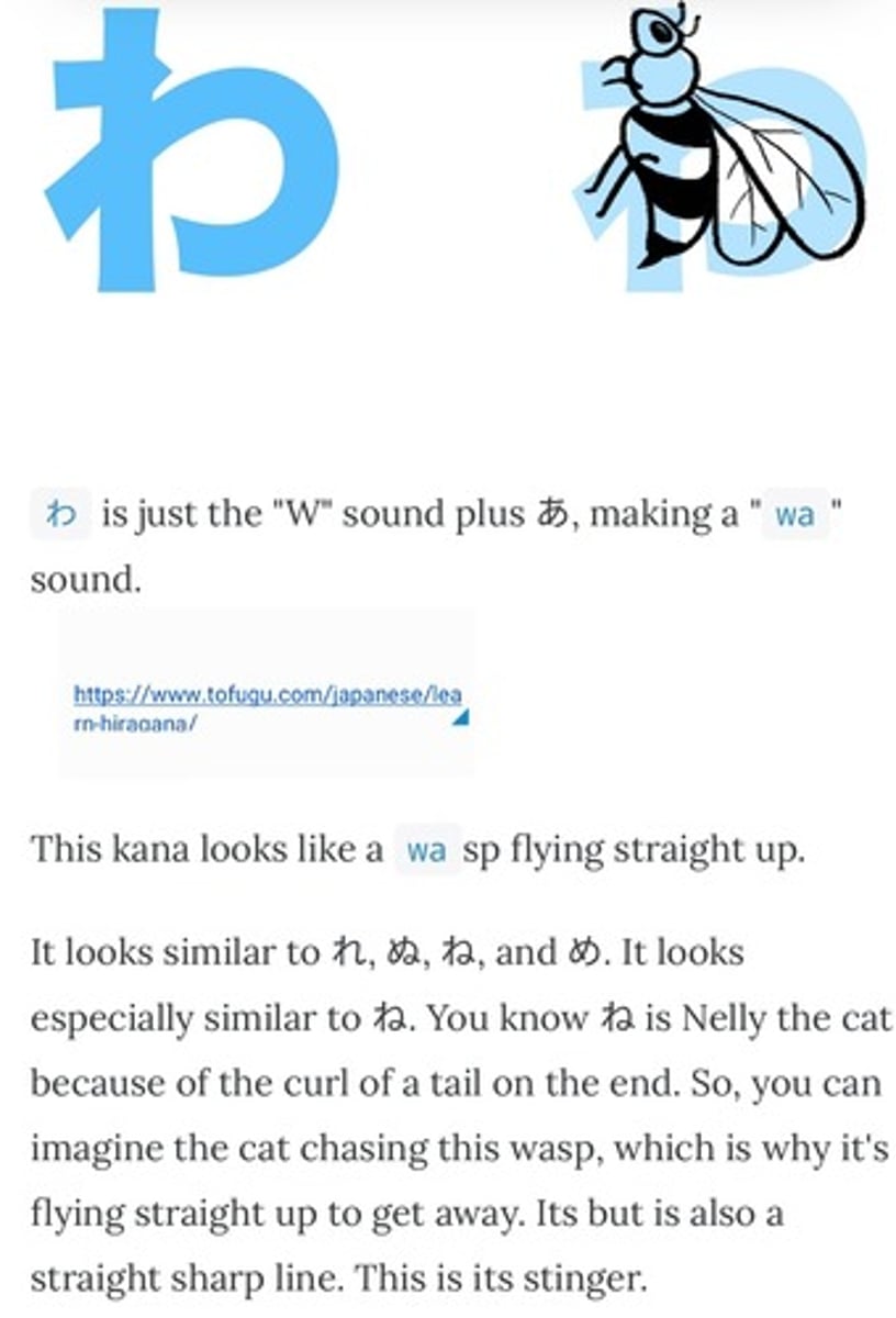 <p>w a</p>