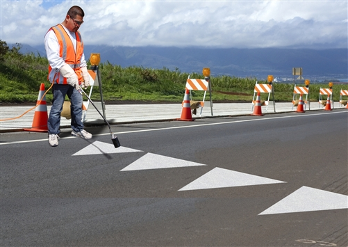 <p>This pavement marking means:</p>