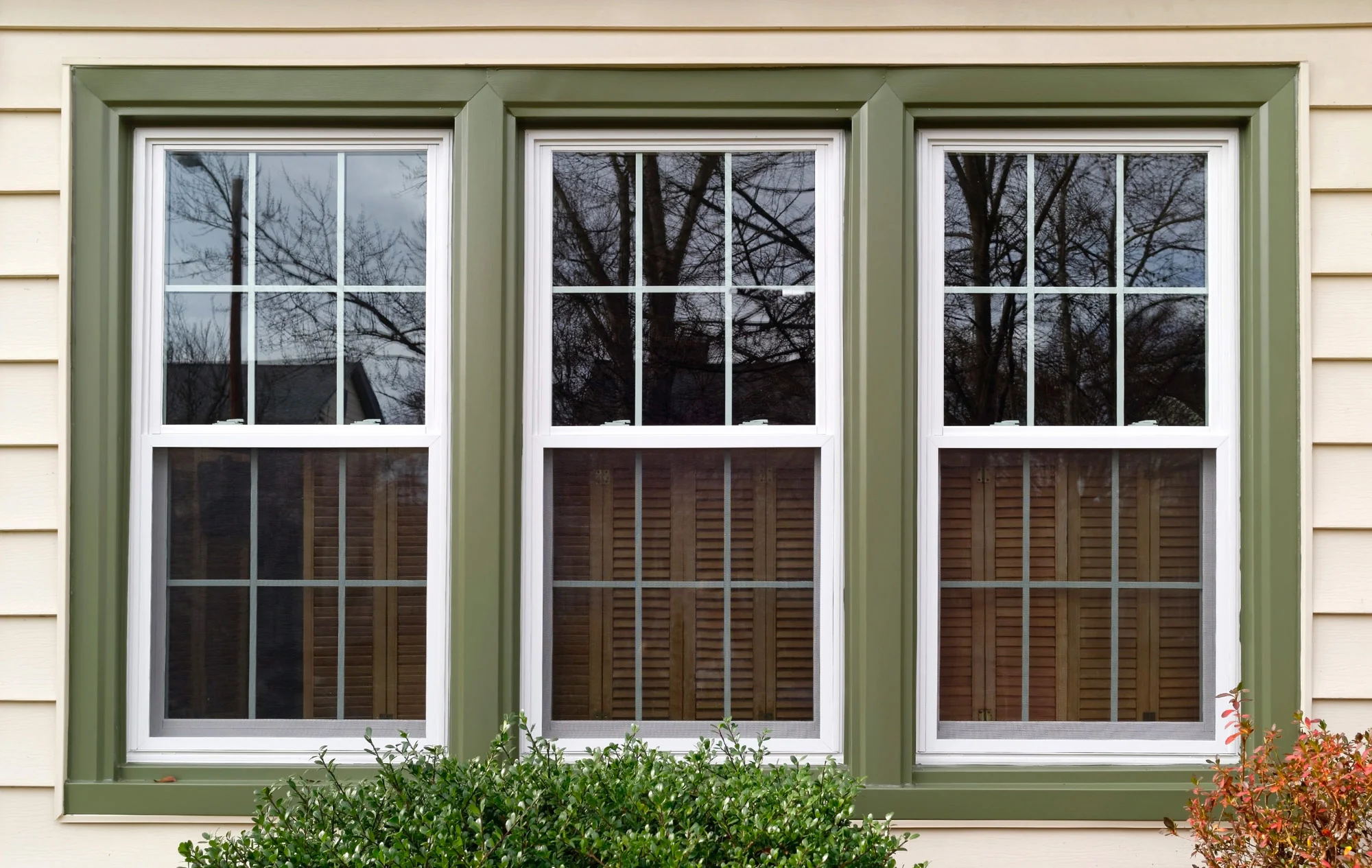 <p>window</p>