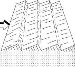 <p>What kind of ripples are these? What flow regimes do they form in?</p>
