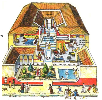 <p>Domus</p>
