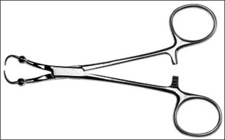 <p>name of instrument</p>