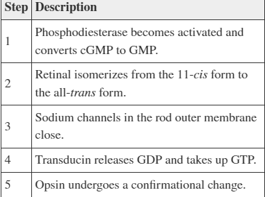 <p>Refer to the table. Place the steps in order of their sequence during signal transduction in a rod cell.</p><ol><li><p>2, 1, 4, 5, 3</p></li><li><p>2, 5, 4, 1, 3</p></li><li><p>5, 4, 3, 2, 1</p></li><li><p>3, 2, 4, 1, 5</p></li></ol>