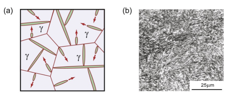 <p>formation occurs without diffusion. Function of temperature only (not time). very hard and strong. Quite brittle. All carbon is in solution. Not at equilibrium so not on phase diagram. </p><p>Nucleation from austenite grain boundaries. Athermal transformation - no diffusion!</p><p></p>