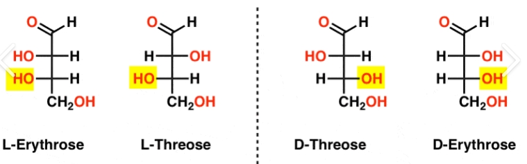 <p>Different configurations of a chiral molecule </p><ul><li><p>D (dextrorotatory - spins polarised light clockwise) - hydroxyl group on penultimate carbon (C5 on hexose sugar) is on the right of the carbon</p></li><li><p>L (levorotatory - spins p light anticlockwise) - hydroxyl group on penultimate carbon (C5 on hexose sugar) is on the left of the carbon </p></li></ul><p></p>